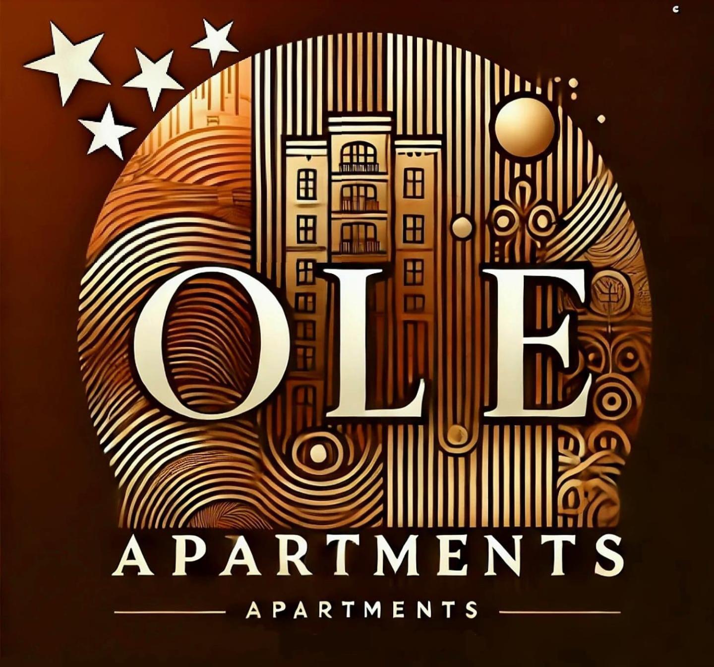 Ole Apartment - Get Your Energy For Free! Coffee And Tea On The House Timişoara Buitenkant foto